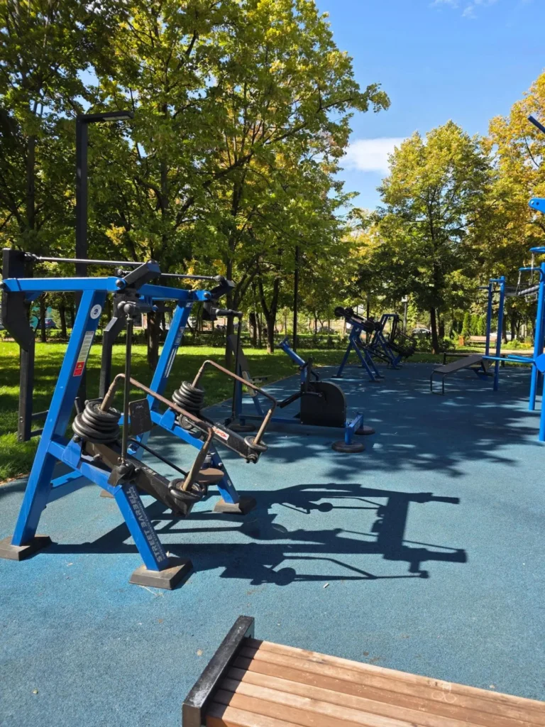 Реализованный объект Street Barbell — Спортивная зона в сквере имени Чепеги